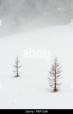 Dramatic atmosphere during springtime in the French Alps with the snow melting and clouds hanging low Stock Photo
