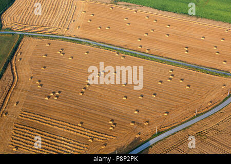 Aerial of a wheat field Stock Photo