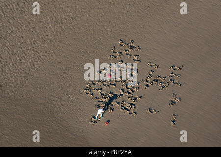 Aerial of a man digging for worms on the beach Stock Photo