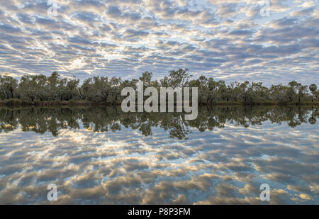 Reflection of Altocumulus clouds (Altocumulus stratiformis undulatis) in the Fortesque River Stock Photo