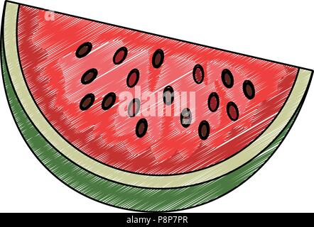 Watermelon fruit isolated scribble Stock Vector