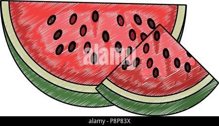 Watermelon fruit isolated scribble Stock Vector