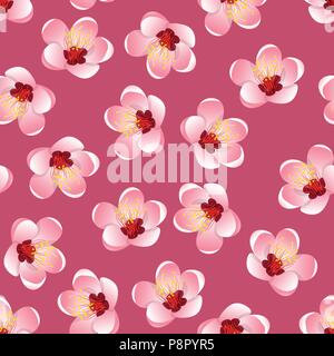 Prunus persica - Peach Flower Blossom on Pink Background. Vector Illustration. Stock Vector