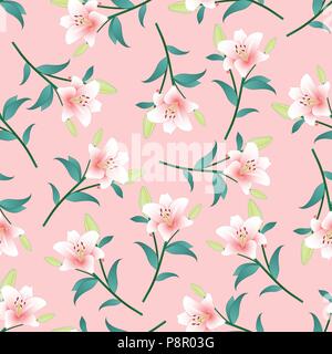 Lilium candidum, the Madonna lily or Pink Lily on Pink Background. Vector Illustration. Stock Vector