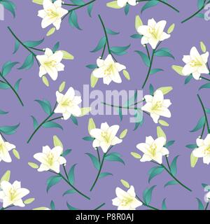 Lilium candidum, the Madonna lily or White Lily on Purple Background. Vector Illustration. Stock Vector
