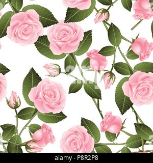 Beautiful Pink Rose - Rosa on White Background. Valentine Day. Vector Illustration. Stock Vector