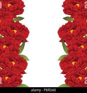 Red Peony Flower Border isolated on White Background. Vector Illustration. Stock Vector
