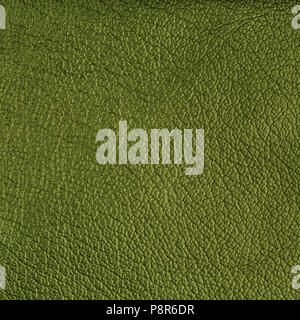 Leather texture. Close up, top view. Stock Photo