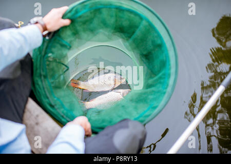 Holding fishing net with two big fishes during the morning fishing on the lake Stock Photo