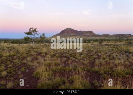 Mount Bruce in outback landscape, Karijini National Park, Pilbara, Northwest Australia | usage worldwide Stock Photo