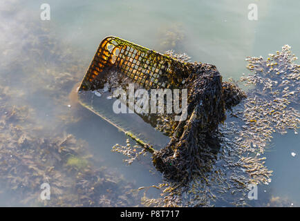 Abandoned shopping trolley in water covered in algae. Abandoned shopping cart discarded and decaying in water. Old junk, Thrown away. Stock Photo