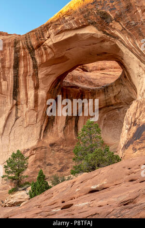 Bowtie Arch, Bootlegger Canyon, near Moab, Utah USA Stock Photo