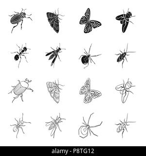 An insect arthropod, an osa, a spider, a cockroach. Insects set collection icons in black,outline style vector symbol stock isometric illustration . Stock Vector