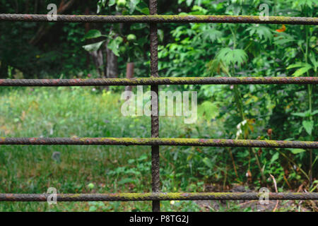 Metal brown fence in front of blurred green garden background Stock Photo