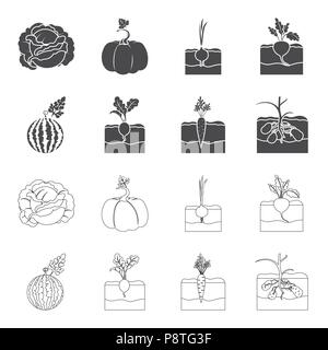 Watermelon, radish, carrots, potatoes. Plant set collection icons in black,outline style vector symbol stock illustration . Stock Vector