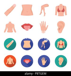 Finger, female feet, female, bust. Part of the body set collection icons in  cartoon,black style vector symbol stock illustration Stock Vector Image &  Art - Alamy