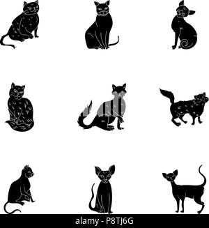 bald,black,cat,cats,chest,collection,curly,different,ears,egyptian,evil,fat,good,gray,icon,illustration,isolated,leopard,logo,neck,object,one,picture,set,sign,sphinx,spotted,striped,symbol,tail,thin,vector,web,white, Vector Vectors , Stock Vector