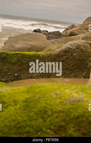 Big rocks on beach with algae or moss growing on them leading into the ocean which is in background with a wave crashing on a gloomy day Stock Photo