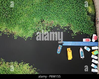 Shenyan, China. 13th July, 2018. Aerial photography of the largest lotus pool in Shenyang, northeast China's Liaoning Province. Credit: SIPA Asia/ZUMA Wire/Alamy Live News Stock Photo