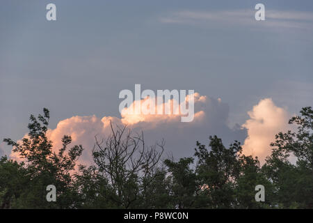 Some clouds in a magenta tint growing behind trees under a bluish sky during springtime Stock Photo