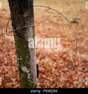 Barbed wire on a fence post, Auvergne, France Stock Photo