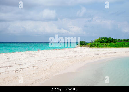 Palm tree on the beach on beautiful Maldives beach. Maldive. Maldive Island with turquoise sea. Stock Photo