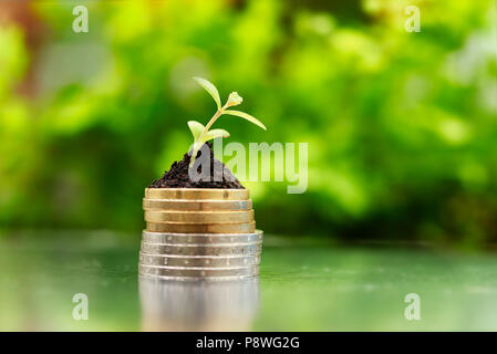 Golden and silver coins in soil with young plant on green background. Money growth concept. Stock Photo