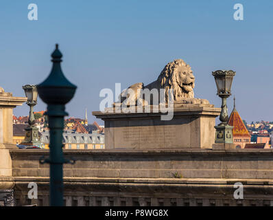 Sculpture of a lion on a chain bridge in Budapest. Hungary Stock Photo