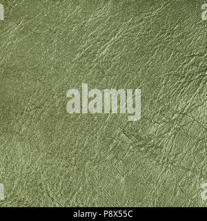 Leather texture. Close up, top view. Stock Photo