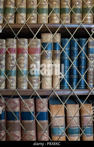 Vertical closeup of the antique books on the bookshelf. Stock