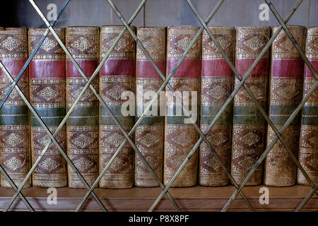 Antique Bookshelves Behind Glass Lattice Door with gold embossed covers. Organized in a row. Stock Photo