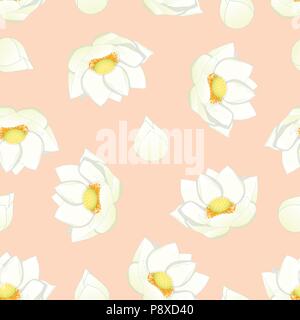 White Indian lotus on Light Pink Background. (Nelumbo nucifera,sacred lotus, bean of India, Egyptian bean. National flower of India and Vietnam) Vecto Stock Vector