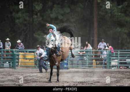 Rodeo-Bareback-Caleb Bennett riding Shifting Sands. Wild action on bucking bronc, saddleless. Stock Photo