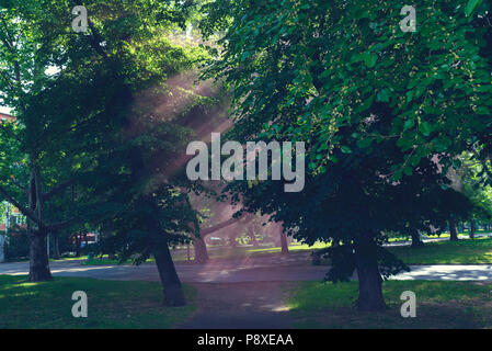 Green trees in a park and red sunny rays Horizontal image Stock Photo