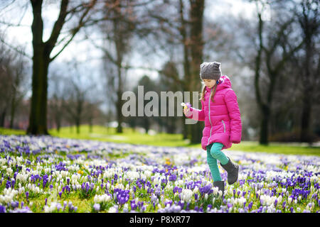 Cute young girl picking crocus flowers on beautiful blooming crocus meadow on early spring Stock Photo