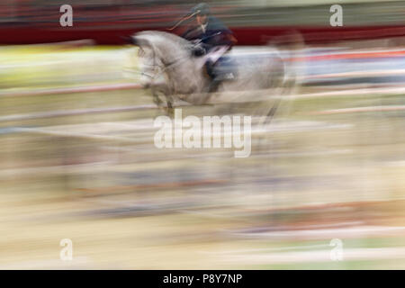 Neustadt (Dosse), dynamics, horse and rider jumping show jumping over an oxer Stock Photo