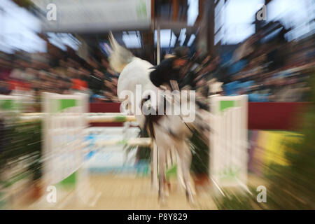 Neustadt (Dosse), dynamics, horse and rider during show jumping Stock Photo