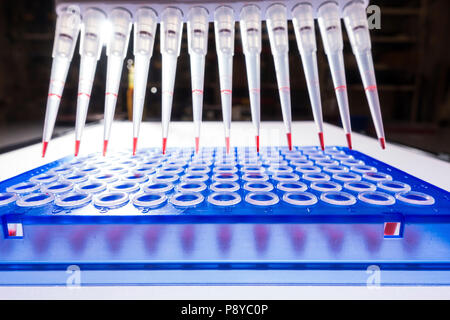 Multi pipette and 96 well plate. Stock Photo