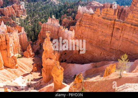 Thor's Hammer, an iconic rock formation at Bryce Canyon National Park