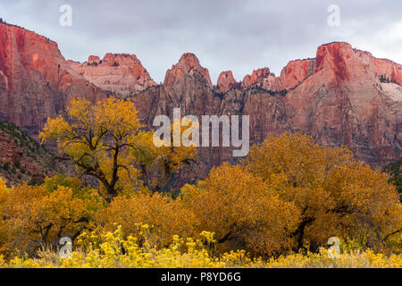 Towers of the Virgin (with The Sentinel and The Altar of Sacrifice peaks) in Zion National Park, Utah. Stock Photo