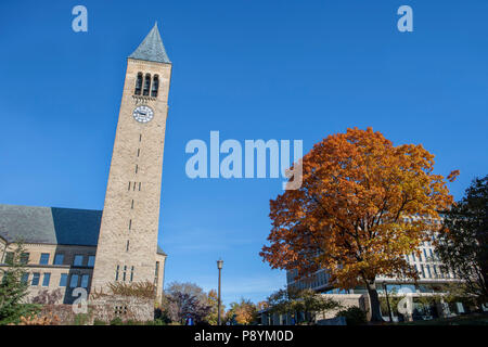 McGraw Tower, Cornell University, Ithaca, New York, USA Stock Photo