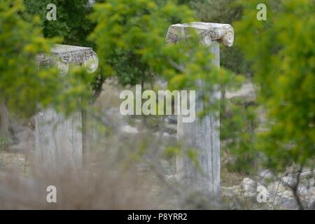 Dalyan Caunos Ancient city Columns, Pillars Kaunos Ancient City Stock Photo