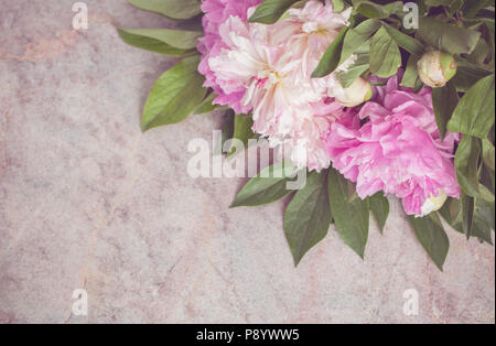 Delicate pink and white peonies lie on a marble table Stock Photo