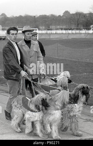 Dresden, GDR, owner of Afghan greyhounds in front of a greyhound race on the former cycle track Johannstadt Stock Photo