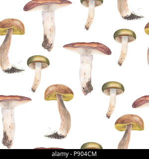 Russules and Boletus edulis mushrooms, seamless pattern. Watercolor painting. Isolated on a white background. Stock Photo