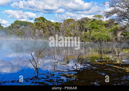 Geothermal park in central Rotorua Stock Photo