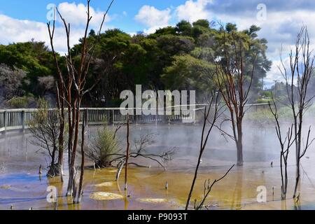 Geothermal park in central Rotorua Stock Photo