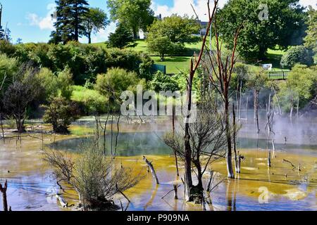 Geothermal park in central Rotorua Stock Photo