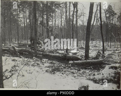 .   332 Holzverarbeitung im winterlichen Galizien (BildID 15681678) Stock Photo