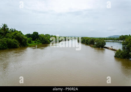 Mangrove forests along the Sal river as seen from Assolna, Goa, India Stock Photo